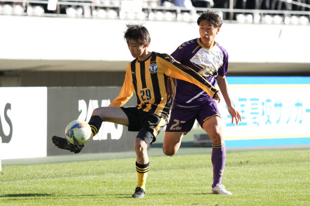 露头角的新 露头角的新