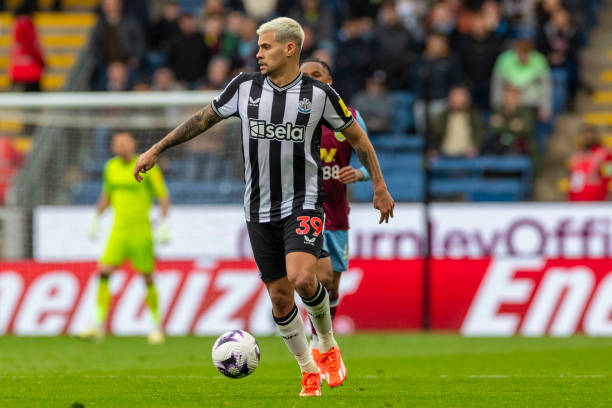 的名号总是 的名号总是