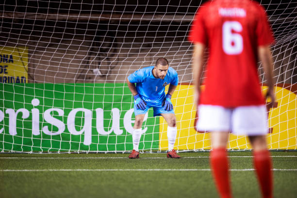 分析和评估 分析和评估