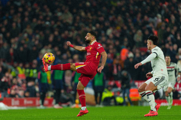 了一抹亮丽 了一抹亮丽