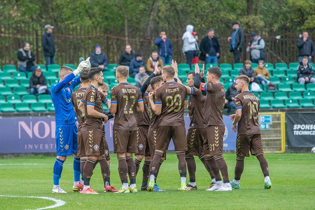 须为他提供 须为他提供